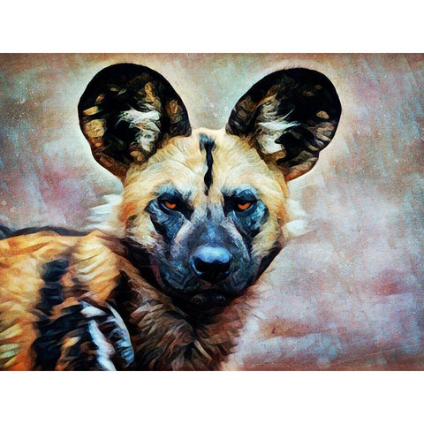 African Wild Dog Watch White Modern Wood Framed Art Print by Aldridge, Ashley