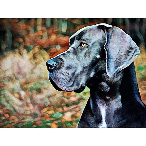 Great Dane Greatness White Modern Wood Framed Art Print by Aldridge, Ashley