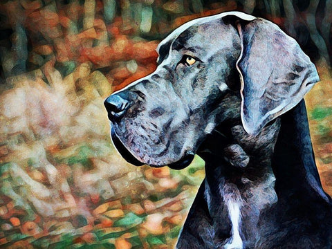 Great Dane Greatness White Modern Wood Framed Art Print with Double Matting by Aldridge, Ashley