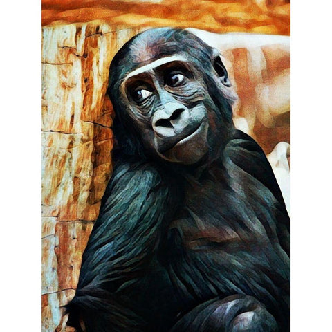 Baby Gorrilla Grin Black Modern Wood Framed Art Print with Double Matting by Aldridge, Ashley