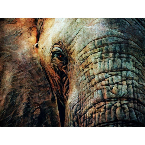 African Elephant Wise Eyes Gold Ornate Wood Framed Art Print with Double Matting by Aldridge, Ashley