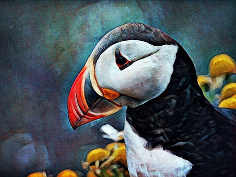 Atlantic Puffin Peculiar White Modern Wood Framed Art Print with Double Matting by Aldridge, Ashley