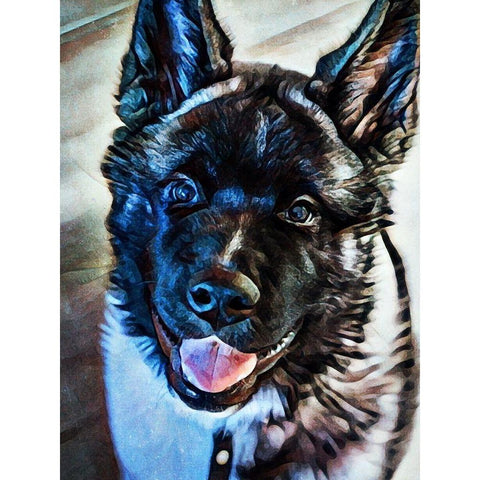 American Akita Puppy Smile White Modern Wood Framed Art Print by Aldridge, Ashley