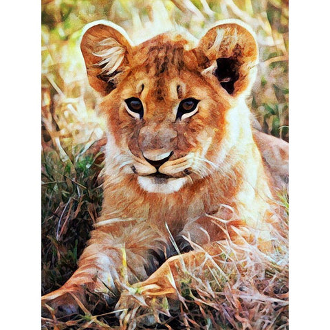 Lion Cub Future King  Gold Ornate Wood Framed Art Print with Double Matting by Aldridge, Ashley