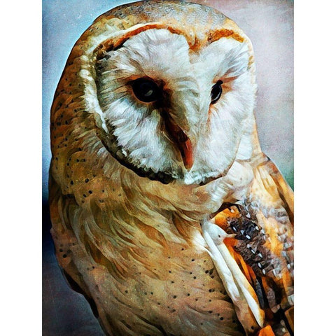 Barn Owl Heart Faced Hunter Gold Ornate Wood Framed Art Print with Double Matting by Aldridge, Ashley