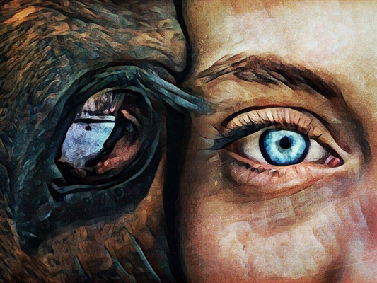 Image Only