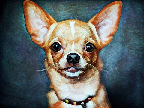 Chihuahua So Cheeky White Modern Wood Framed Art Print with Double Matting by Aldridge, Ashley