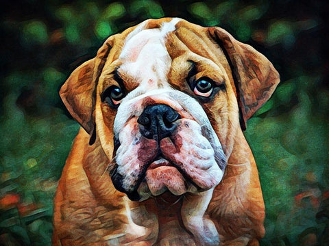 British Bulldog Puppy Pout Black Ornate Wood Framed Art Print with Double Matting by Aldridge, Ashley