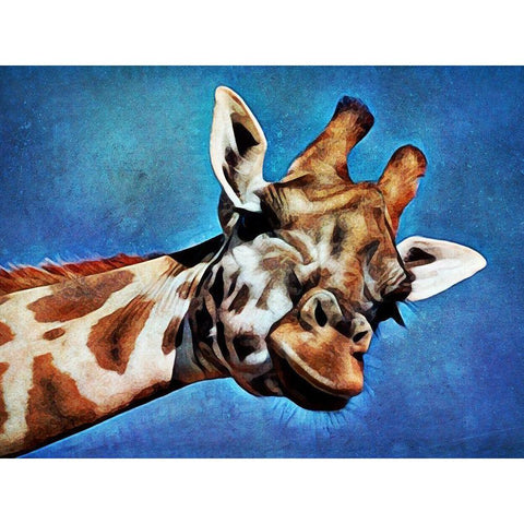 Giraffe High Blue Sky  Gold Ornate Wood Framed Art Print with Double Matting by Aldridge, Ashley