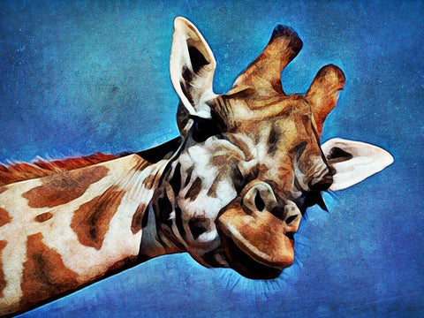 Giraffe High Blue Sky  White Modern Wood Framed Art Print with Double Matting by Aldridge, Ashley