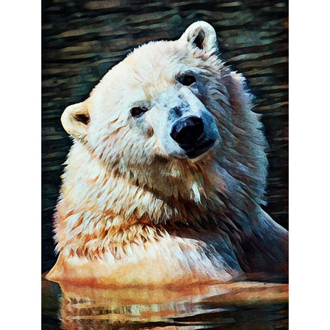 Polar Bear Bath Time Black Modern Wood Framed Art Print with Double Matting by Aldridge, Ashley