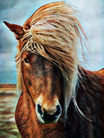 Icelandic Horse Wind Blown Blonde White Modern Wood Framed Art Print with Double Matting by Aldridge, Ashley