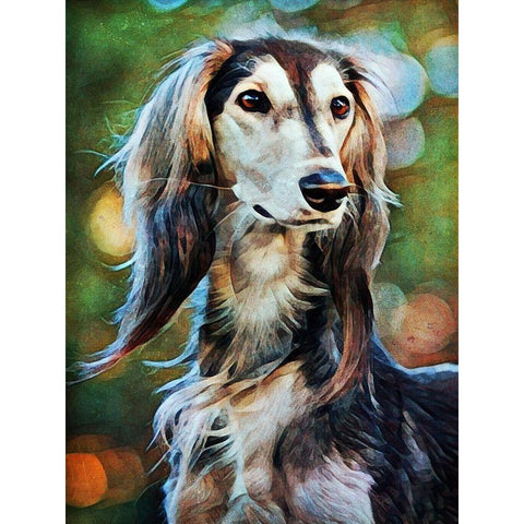 Saluki Sighted Black Modern Wood Framed Art Print with Double Matting by Aldridge, Ashley