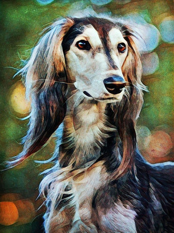 Saluki Sighted Black Ornate Wood Framed Art Print with Double Matting by Aldridge, Ashley