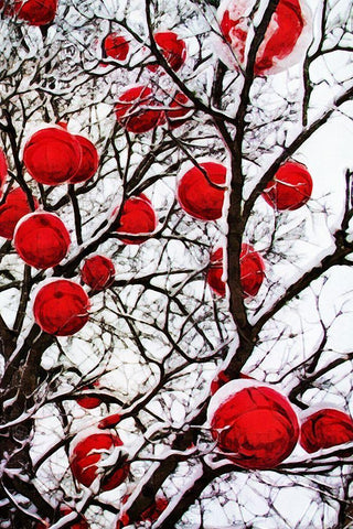 Snowy Red Bauble Branches I White Modern Wood Framed Art Print with Double Matting by Aldridge, Ashley