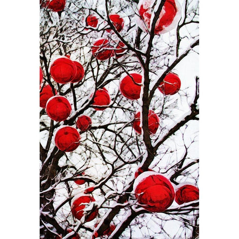 Snowy Red Bauble Branches I White Modern Wood Framed Art Print by Aldridge, Ashley