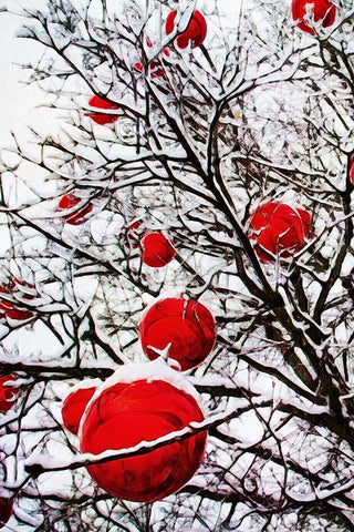 Snowy Red Bauble Branches II White Modern Wood Framed Art Print with Double Matting by Aldridge, Ashley