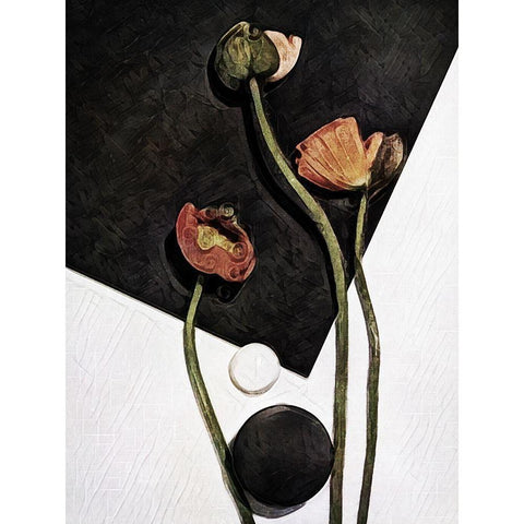 Modern Poppy Arrangement I Black Modern Wood Framed Art Print with Double Matting by Aldridge, Ashley