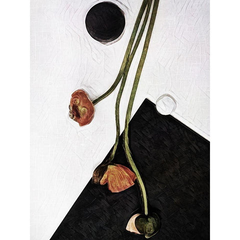 Modern Poppy Arrangement II Black Modern Wood Framed Art Print with Double Matting by Aldridge, Ashley