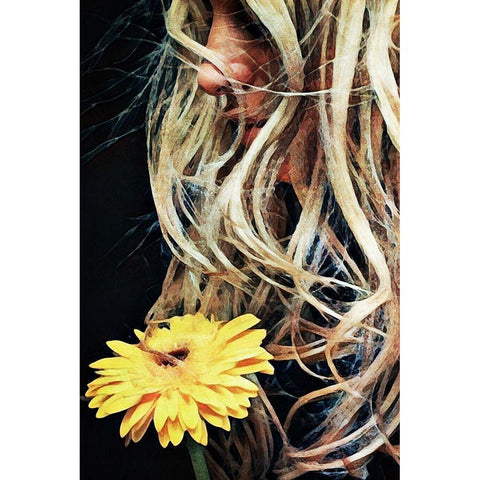 Golden Gerbera For Goldilocks Gold Ornate Wood Framed Art Print with Double Matting by Aldridge, Ashley