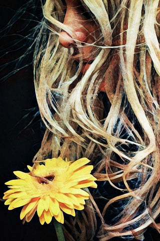 Golden Gerbera For Goldilocks Black Ornate Wood Framed Art Print with Double Matting by Aldridge, Ashley