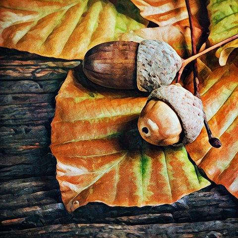 Autumn Acorns White Modern Wood Framed Art Print by Aldridge, Ashley