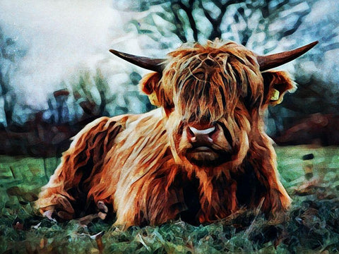 Highland Cow Kinda Rest Black Ornate Wood Framed Art Print with Double Matting by Aldridge, Ashley