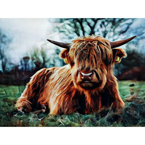 Highland Cow Kinda Rest White Modern Wood Framed Art Print by Aldridge, Ashley