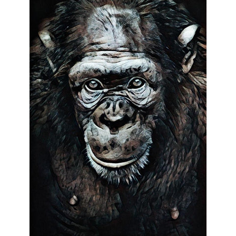 Chimpanzee Contemplation Black Modern Wood Framed Art Print with Double Matting by Aldridge, Ashley