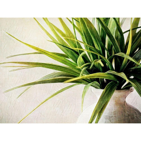 White Potted Plant Black Modern Wood Framed Art Print with Double Matting by Aldridge, Ashley