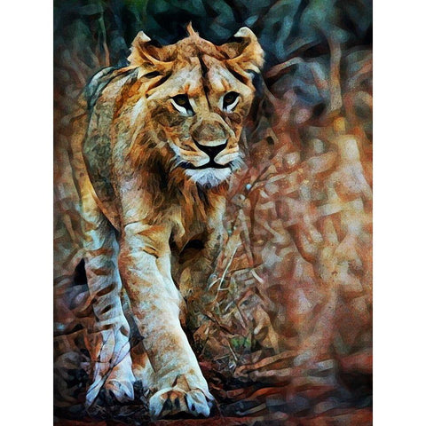 Lion Stalking In Style Black Modern Wood Framed Art Print with Double Matting by Aldridge, Ashley