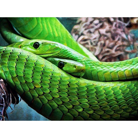 Green Mamba Makes Two Gold Ornate Wood Framed Art Print with Double Matting by Aldridge, Ashley