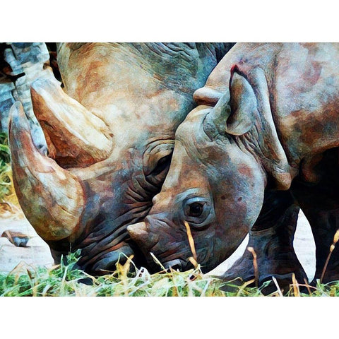 Rhinoceros and Calf Connection White Modern Wood Framed Art Print by Aldridge, Ashley