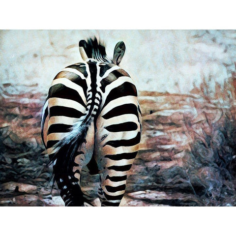 Zebra Butt Beautiful Black Modern Wood Framed Art Print with Double Matting by Aldridge, Ashley