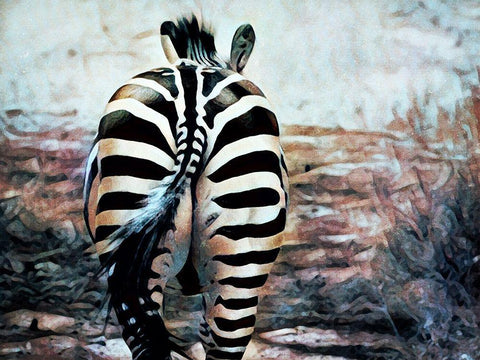 Zebra Butt Beautiful White Modern Wood Framed Art Print with Double Matting by Aldridge, Ashley