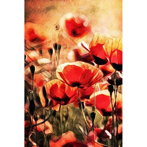 Poppy Fields In Focus I White Modern Wood Framed Art Print by Aldridge, Ashley