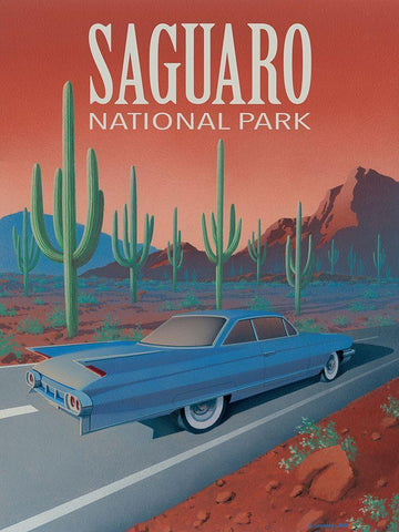 Saguaro National Park with Text White Modern Wood Framed Art Print with Double Matting by Courtney, Richard