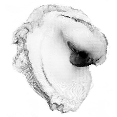 Veiled Illusions 70 Gold Ornate Wood Framed Art Print with Double Matting by Curinga, Kim