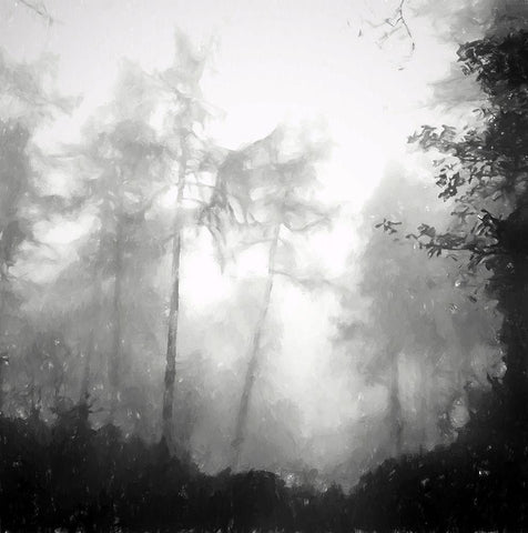 Otherworldly Black Ornate Wood Framed Art Print with Double Matting by Curinga, Kim