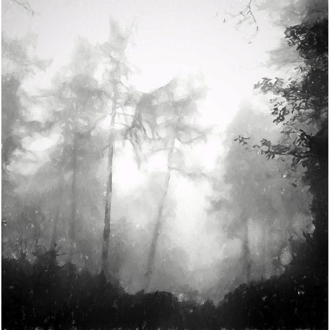 Otherworldly Black Modern Wood Framed Art Print by Curinga, Kim