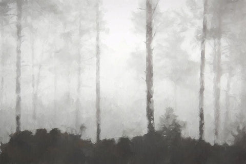 Barren White Modern Wood Framed Art Print with Double Matting by Curinga, Kim