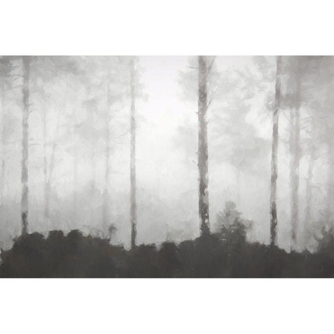 Barren Black Modern Wood Framed Art Print by Curinga, Kim