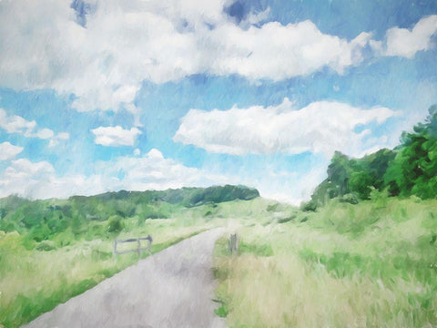 Trail Path White Modern Wood Framed Art Print with Double Matting by Curinga, Kim