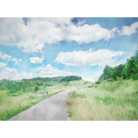 Trail Path Black Modern Wood Framed Art Print by Curinga, Kim