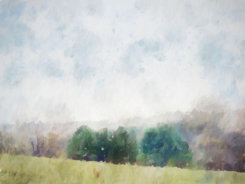 Trees in Color White Modern Wood Framed Art Print with Double Matting by Curinga, Kim