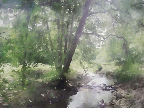 Shady Creek White Modern Wood Framed Art Print with Double Matting by Curinga, Kim