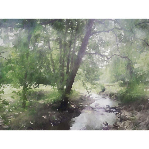 Shady Creek Black Modern Wood Framed Art Print with Double Matting by Curinga, Kim