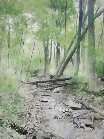 Fallen Logs Black Ornate Wood Framed Art Print with Double Matting by Curinga, Kim