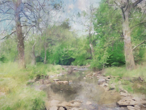 Rocky Creek Black Ornate Wood Framed Art Print with Double Matting by Curinga, Kim