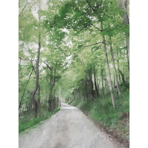 The Road Black Modern Wood Framed Art Print with Double Matting by Curinga, Kim